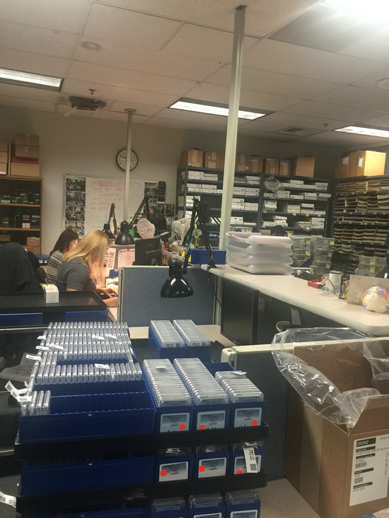 不一樣的文化土壤&nbsp;養(yǎng)育一樣的品牌信仰