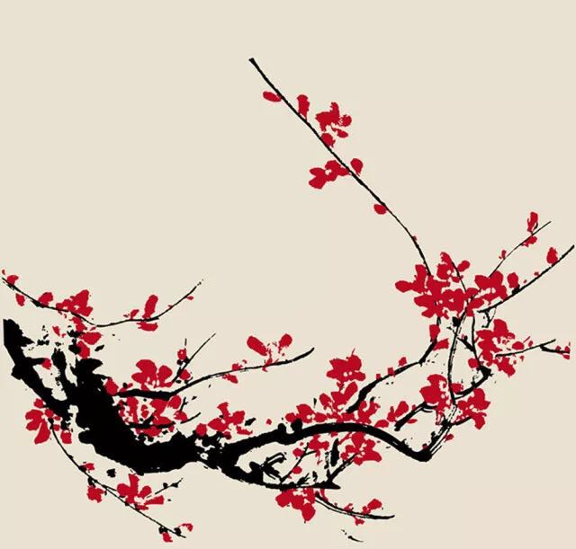 “梅迷”踏雪尋“梅”所為何？